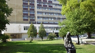 43-годишна се блъсна в дърво по пътя от Добрич към курорта „Албена“