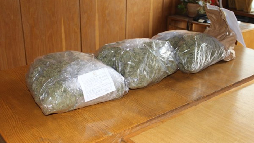 Жена от Търговище държи 1700 грама суха марихуана