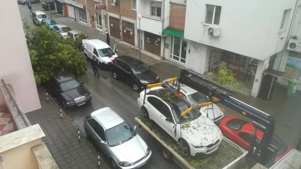 Пак инцидент с паяк в Пловдив – събори дърво върху автомобили (снимка)