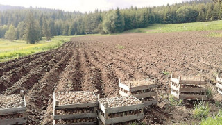 НА ЖИВО: Как българското земеделие да стане по-зелено – дискусия на „24 часа“