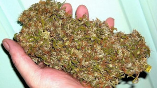 Канабис открит в дома на иманяр в Катунци