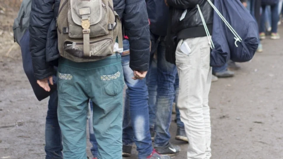 При полицейско-митническа операция са задържани 145 души