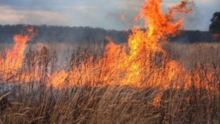 100 декара изпепели пожар край доспатско село