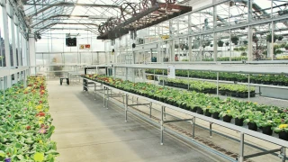 В социалните мрежи измамиха мъж от Каварна с 3000 лв за оранжерии