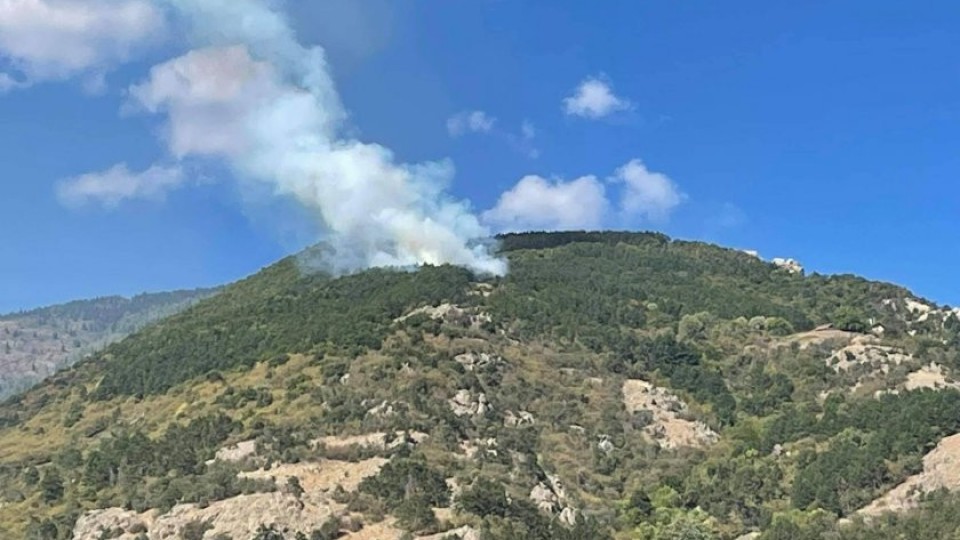 Пожарът край Водната кула в Карлово е локализиран