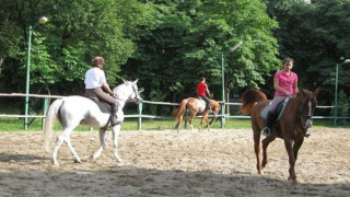 Конната база остава в Борисовата, само ремонти, без ново строителство