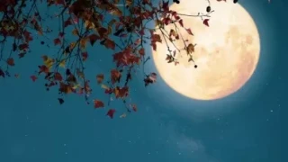 Сбъднати мечти под пълната луна