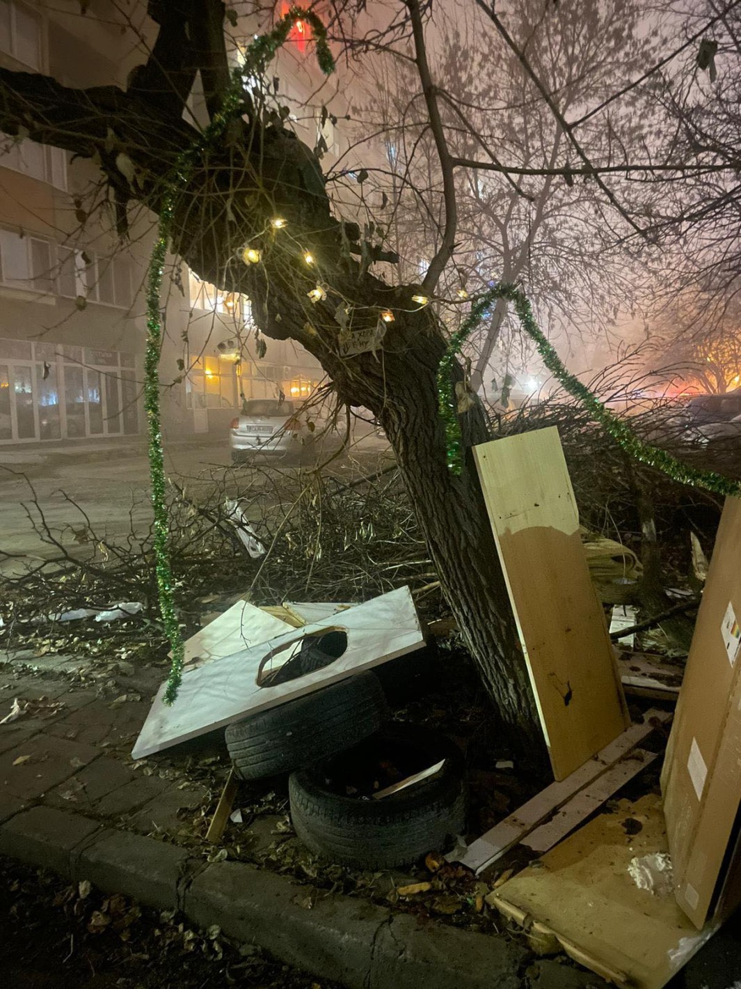 Елхите на Терзиев – граждански бунт завладя столицата - Снимка 4