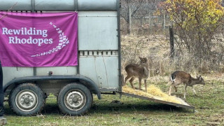 Варненският зоопарк направи нещо прекрасно