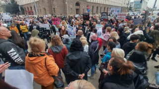Нова вълна протести срещу насилието над животни