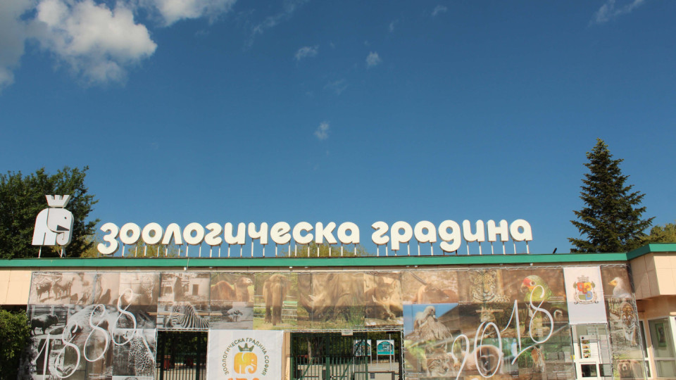 Софийският зоопарк предупреждава за измама Софийският зоопарк предупреждава за измама