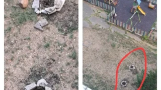 Кой изкорени току-що засадени дръвчета в столичен квартал?