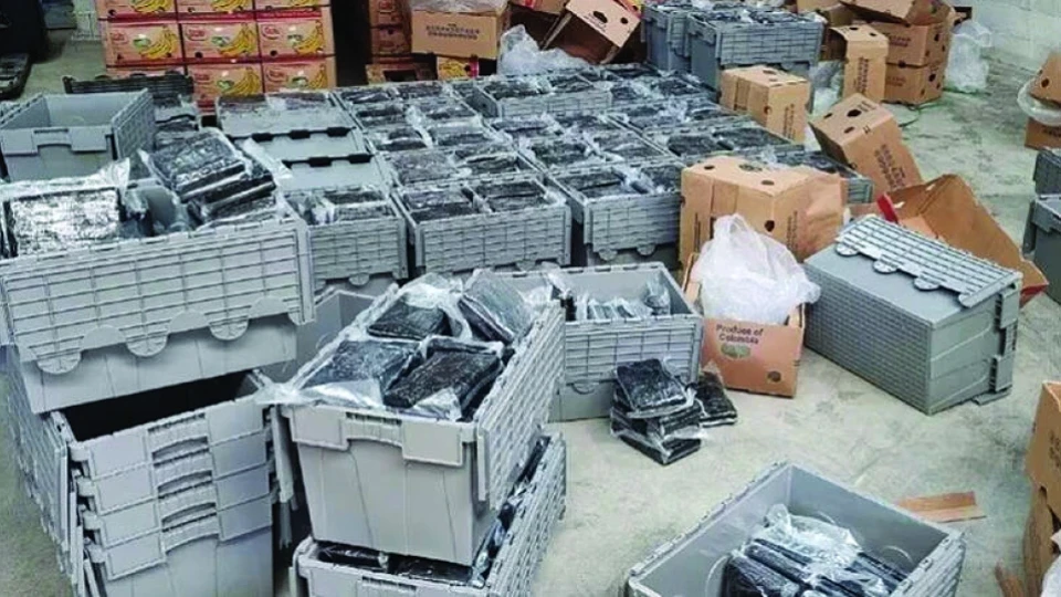 Българин арестуван при залавяне на над 3 тона кокаин в Нидерландия