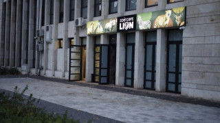 В Пловдив отвориха първото у нас зоокафе