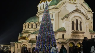 Елхата в София грейна с над 20 000 светлини