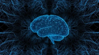 Най-умният човек в света с коефициент на интелигентност от 276 нарушава мълчанието си относно съществуването на Бог