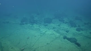 Изследователи откриват мистериозен жълт път на океанското дъно: Той води към Атлантида