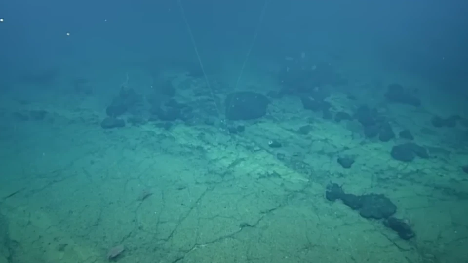 Изследователи откриват мистериозен жълт път на океанското дъно: Той води към Атлантида