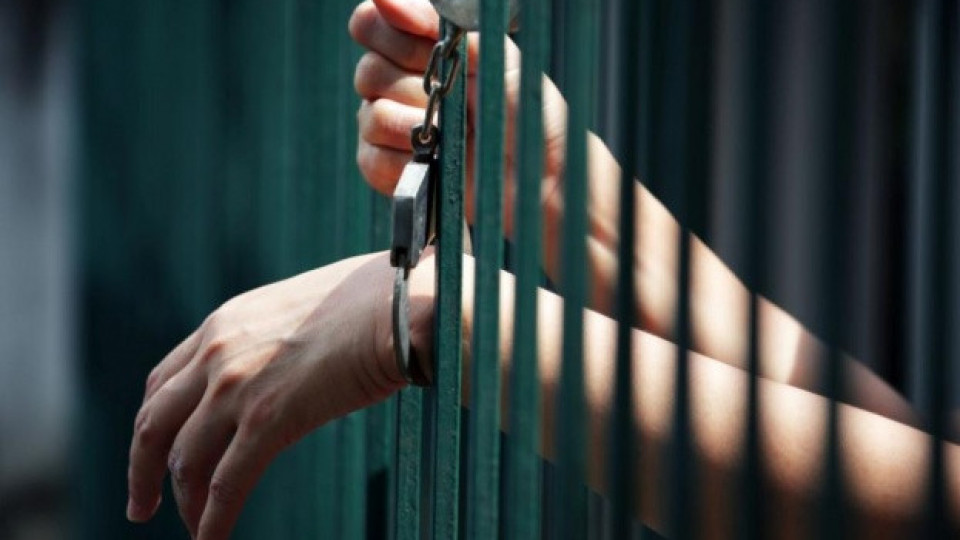 Арестуваха в България член на сръбските дръзки обирджии „Розови пантери“