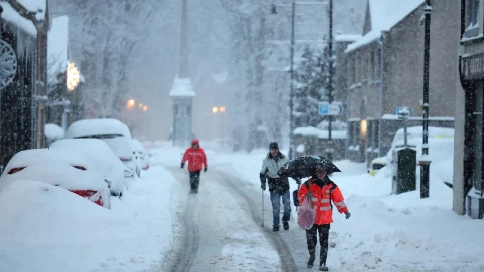 Снежен хаос в Европа: Шестима загинали, редица отменени полети и закъснения на влаковете