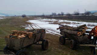 С малко набези в горите в Централна Северна България се похвалиха горските