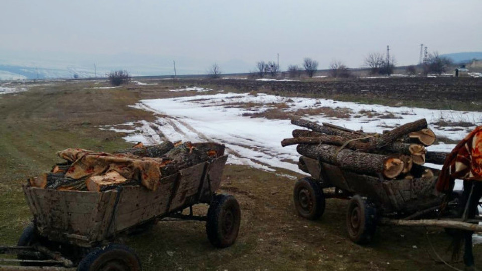 С малко набези в горите в Централна Северна България се похвалиха горските