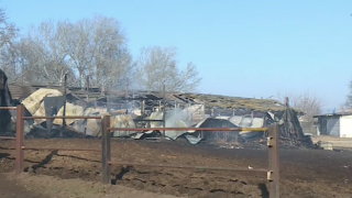 След огнения ад в конна база във Варна: Законна ли е била дейността й?