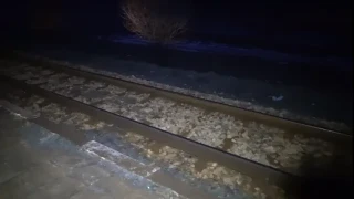 Призрачна гара: Перон на жп спирка в монтанско село застрашава живота на пътуващи