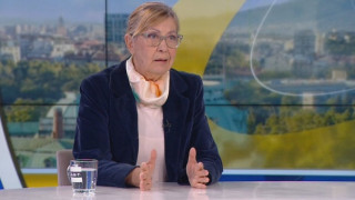 Проф. Светлана Велизарова: Напуснахме педиатрията, за да спасим себе си и душите си