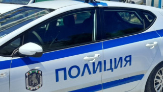 Разследват отравяне на кучета и обесване на котка край Велико Търново