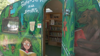 Библиотека под дърветата в Южния парк