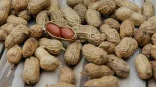 БАБХ задържа фъстъци с високо съдържание на афлатоксини